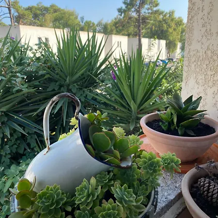 Feriehus Casa Sole E Mare *