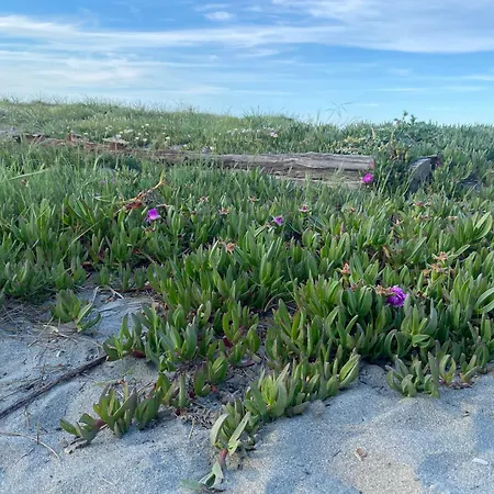 Vakantiehuis Casa Sole E Mare